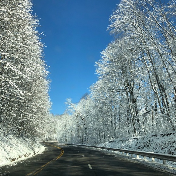 Meet your Posher, Brandie - Picture 2 of 5